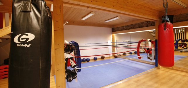 boxe anglaise lyon